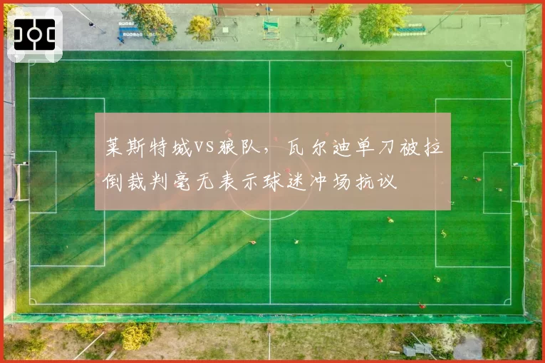 莱斯特城vs狼队，瓦尔迪单刀被拉倒裁判毫无表示球迷冲场抗议