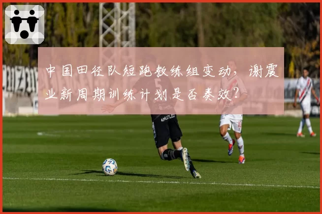 中国田径队短跑教练组变动，谢震业新周期训练计划是否奏效？
