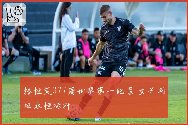 格拉芙377周世界第一纪录 女子网坛永恒标杆
