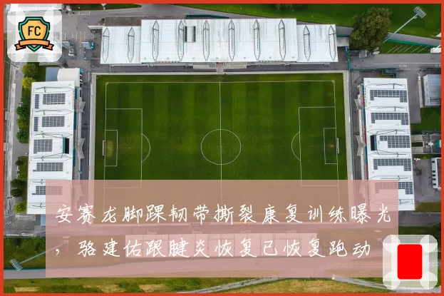安赛龙脚踝韧带撕裂康复训练曝光,骆建佑跟腱炎恢复已恢复跑动